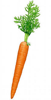 La zanahoria es un alimento con vitamina A