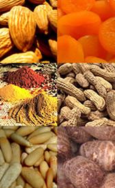 Alimentos Ricos en Vitamina E | Lista de Alimentos con Vitamina E