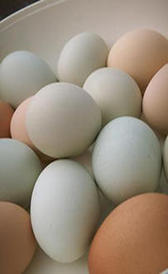 Los huevos son un alimento con vitamina A