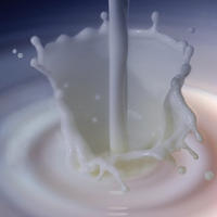 La leche es un alimento rico en vitamina B2